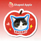 Custom Pet Illustration Rug – Personalized Hand-Drawn Pet Portrait Carpet