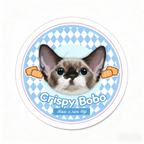 Custom Pet Illustration Rug – Personalized Hand-Drawn Pet Portrait Carpet