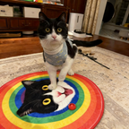 Custom Pet Illustration Rug – Personalized Hand-Drawn Pet Portrait Carpet