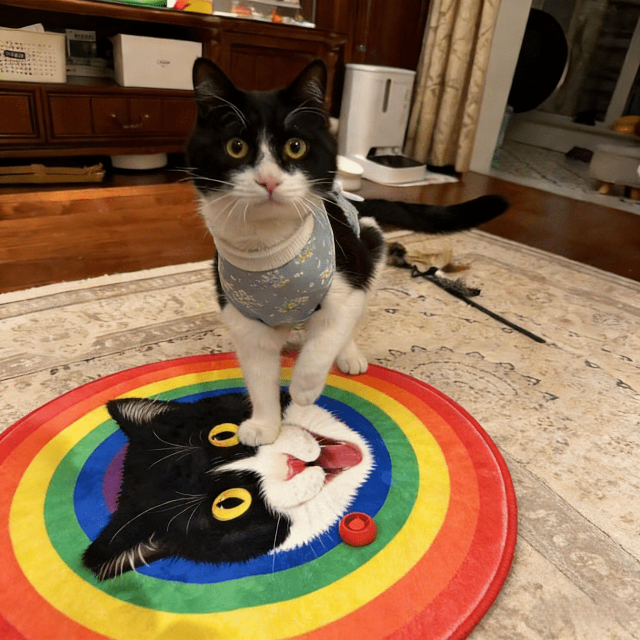 Custom Pet Illustration Rug – Personalized Hand - Drawn Pet Portrait Carpet - paw&bond