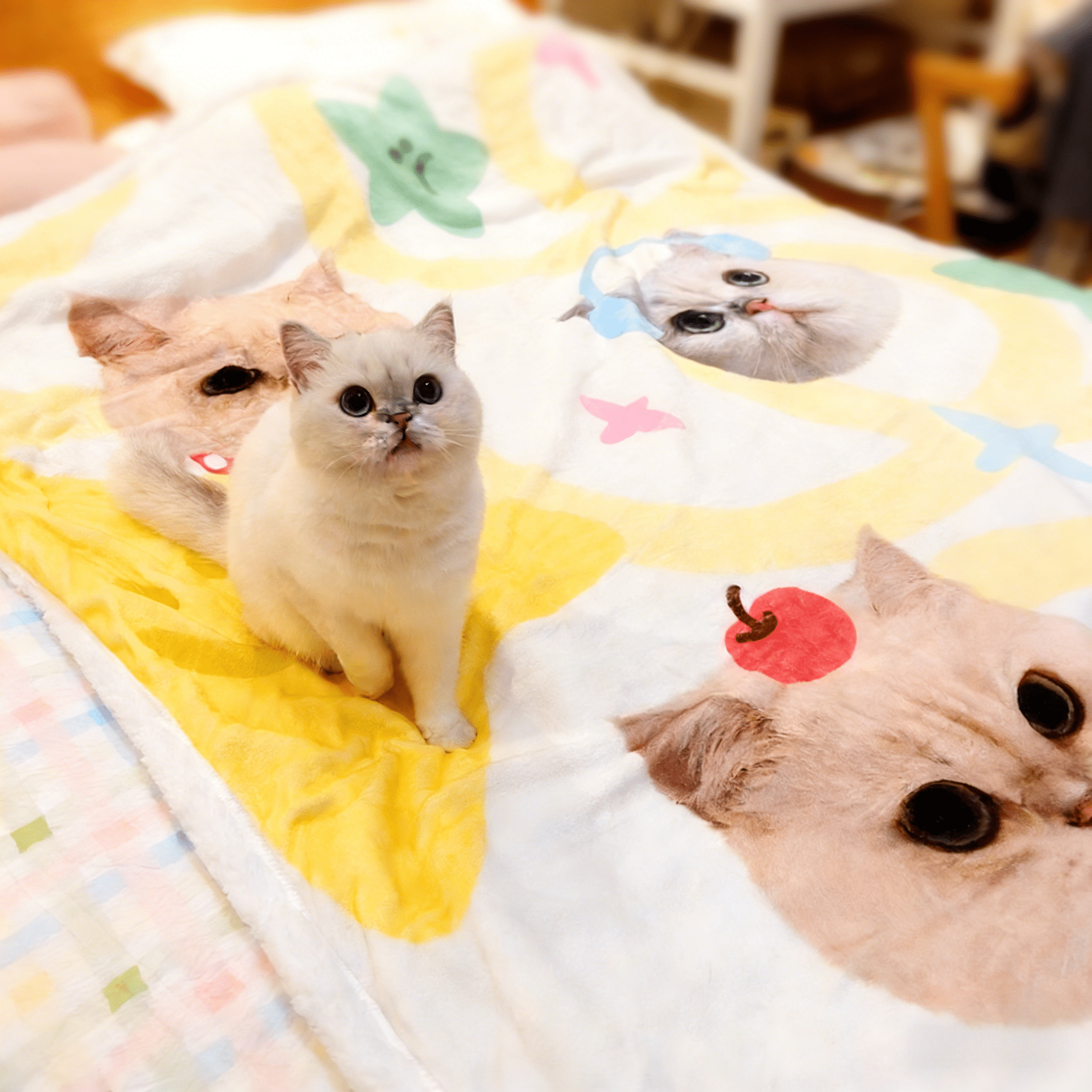 Custom Pet Portrait Sherpa Blanket – Personalized Dog & Cat Photo Fleece Blanket, Soft Double - Layer Throw - paw&bond